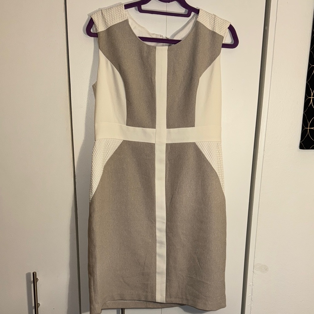 Sandra Darren Cream and Tan Mini Dress
